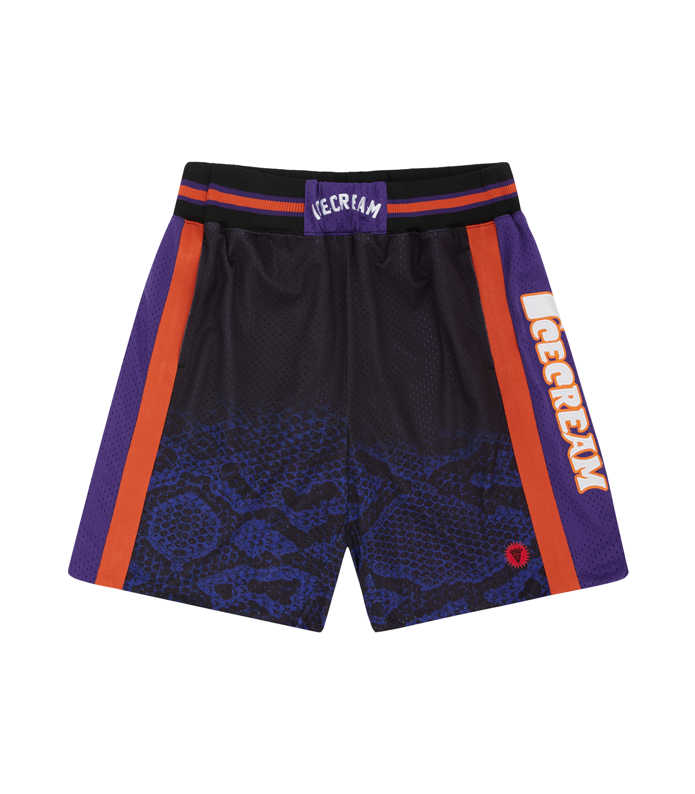 Basketball shorts with team logo best sale on front