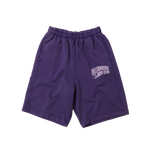 WASHED ARCH LOGO SHORTS - PURPLE